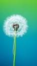 Vivid Macro Shot of a Lone Dandelion Seed Against a Soft-Focus Emerald Background