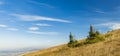 Vivid mountain picturesque landscape scenic view hill land and two small pine trees diagonal horizon background with blue sky Royalty Free Stock Photo