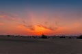 The vivid night sky just after sunset in the desert outside Dubai, UAE Royalty Free Stock Photo