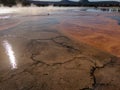 Bacterial mats with steam and pedestrian bridge in Yellowstone National Park