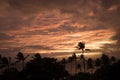 Vivid Orange Clouds Fill Sunset Sky as Hurricane Weather Approaches over Ocean Royalty Free Stock Photo