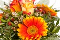 Vivid orange gerbera daisy in a bouquet Royalty Free Stock Photo