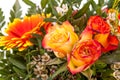 Vivid orange gerbera daisy in a bouquet