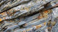 Vivid Orange Lichen on Layered Coastal Rocks Texture