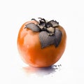 A vivid orange persimmon with a brown stem and leaves