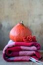 Vivid orange pumpkin on wooden background with rowan berries and checkered blanket