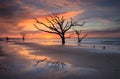 Sunrise Edisto Island South Carolina Royalty Free Stock Photo