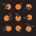 Orange Tangerine Selection Vector Designs on Black Background