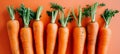 Vivid organic carrots showcasing freshness in a textured background, perfect for food enthusiasts