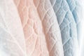 Vivid pastel color leaf soft and blur texture Royalty Free Stock Photo