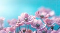 Beautiful pink anemone flowers on blue sky background, close up Royalty Free Stock Photo