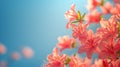 Vivid Pink Azaleas with Dreamy Blue Background