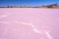 Vivid Pink Salt Lake Texture.