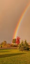 Vivid Rainbow raining