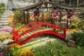 Vivid red bridge over pond over pond in decorative in Japanese garden, park in autumn Royalty Free Stock Photo