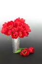 Vivid Red Spring Tulip Flower Arrangement Royalty Free Stock Photo