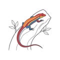 Vivid Representation of Rainbow Skink in Nature Royalty Free Stock Photo
