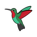 Vivid Ruby-Throated Hummingbird Bird Design