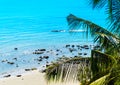 Vivid sand beach with palm branch