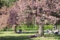 Beautiful spring flowers in Jardin des Plantes in Paris
