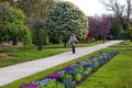 Beautiful spring flowers in Jardin des Plantes in Paris