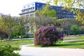 Beautiful spring flowers in Jardin des Plantes in Paris