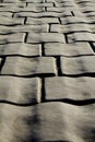 Vivid stone bridge on the bridge in beijing,