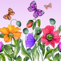 Vivid summer background. Beautiful colorful poppy flowers and flying butterflies on lilac background. Square shape.