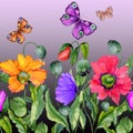 Vivid summer background. Beautiful colorful poppy flowers and flying butterflies on purple background. Square shape.