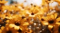 Vivid sunflower bokeh backdrop with contrasting colors and enchanting narrative ambiance