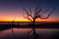 Vivid sunrise at Driftwood sandy beach, US Royalty Free Stock Photo