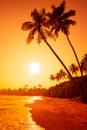 Vivid sunset on tropical beach with coconut palm trees over the water Royalty Free Stock Photo