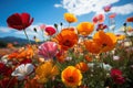 Vivid sunset palette poppies transforming the landscape, sunrise landscape image