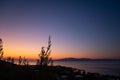 Vivid sunset on sea coast with olive trees, Greece Royalty Free Stock Photo