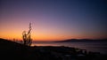 Vivid sunset on sea coast with olive trees, Greece Royalty Free Stock Photo