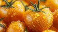 Vivid texture background of fresh organic yellow tomatoes for vibrant food presentations