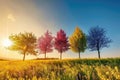 Vivid trees in seasonal transition against a radiant sunset sky in a blooming wildflower field Royalty Free Stock Photo