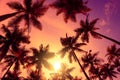 Vivid tropical beach sunset with big warm shining sun on vacation island.