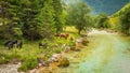 Vivid turquoise Soca river valley near Bovec in Triglav National Park, Julian Alps, Slovenia, Europe. Royalty Free Stock Photo