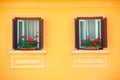 Vivid wall windows