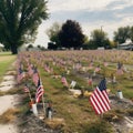 Vivid Wide Shot of Tiny US Flags at the Cemetery for Veterans. Generative AI