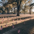 Vivid Wide Shot of Tiny US Flags at the Cemetery for Veterans. Generative AI