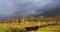 Vivid scenic colours of terrace farming in remote Indian Himalayan mountains