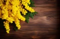 Yellow Mimosa Flowers on a Wooden Background Royalty Free Stock Photo