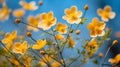 Vivid yellow blossoms reaching skyward against a clear blue backdrop Royalty Free Stock Photo