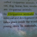 viviparous animals research methodology displayed on Papar page galaxy background Royalty Free Stock Photo