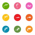 Viviparous lizard icons set, flat style