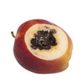 Vivipary in apple. Seeds, pips are already growing in the core when the fruit is cut open. Royalty Free Stock Photo