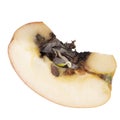 Vivipary in apple. Sliced to clearly show seeds, pips are already growing in the core when the fruit is cut open.