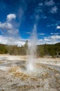 Vixen Geyser in the Yellowstone national park